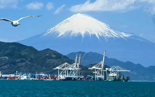Nagoya Shimizu Port & Kunozan Toshogu Shrine Full-Day Tour