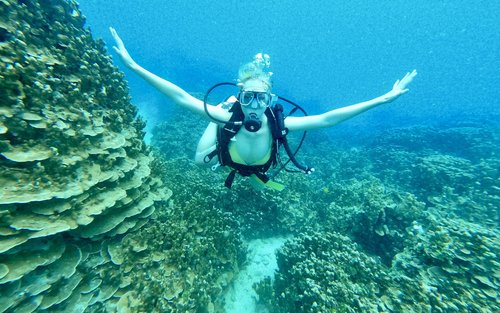 体験スキューバダイビング