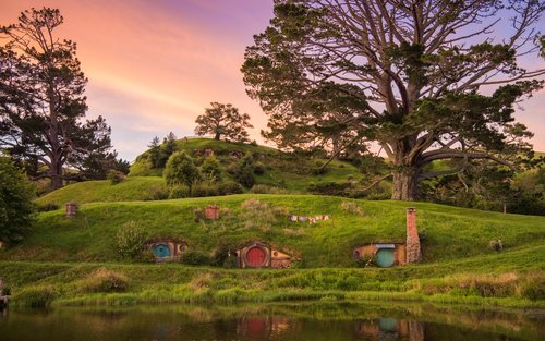 Hobbiton & Rotorua Day Tour with Te Puia from Auckland