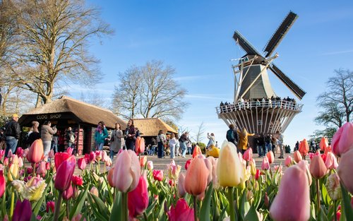 Keukenhof Tours dengan Countryside dan Cruise