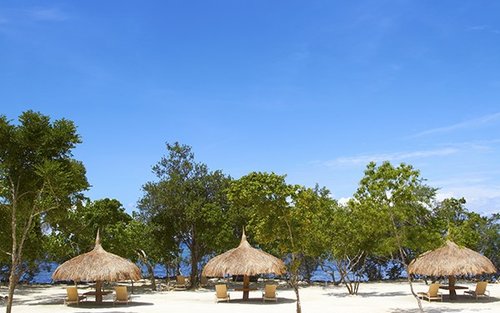 Bluewater Panglao Beach Resort Day Use in Bohol