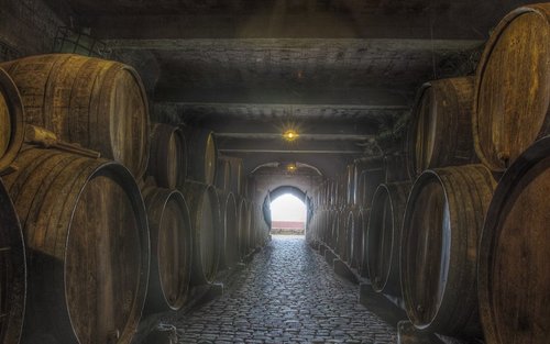 Winery visit and tasting experience by Bodegas Monje
