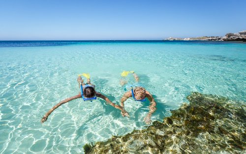 罗特尼斯岛渡轮＆自行车＆浮潜之旅（费里曼图／伯斯出发）