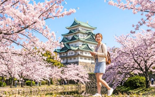 Excursão de um dia ao Castelo de Wakayama, Mercado Kuroshio, Parque dos Cervos de Nara e Templo Todai-ji (partida de Osaka)