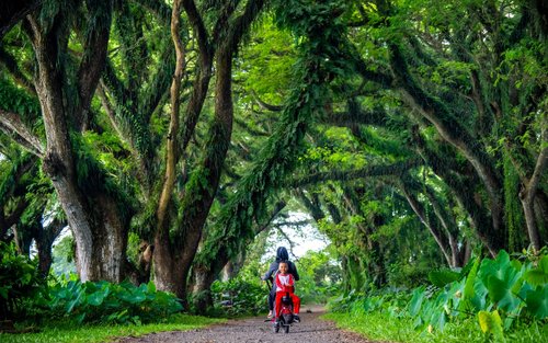外南梦普沃国家公园私人一日游