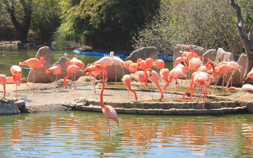 Faunia Nature Park Admission in Madrid