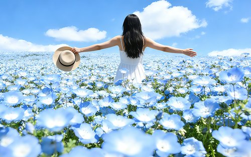 公園 福島の復興祈念公園 2026年4月25日に開園へ | 福島のニュース│TUF