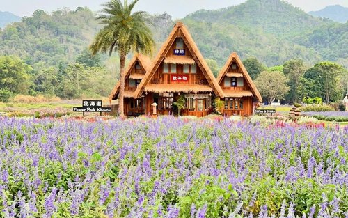 Całodniowa wycieczka w małej grupie do Hokkaido Flower Park i Khao Yai