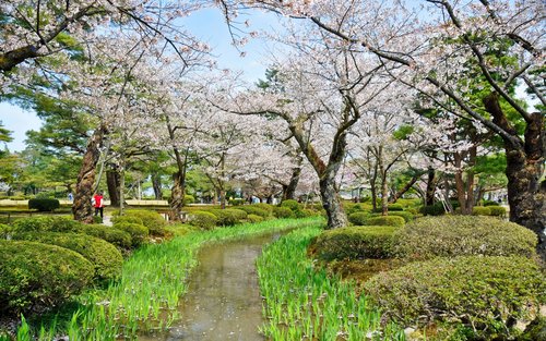 World Heritage Shirakawa-go & Hida Takayama & Kanazawa Kenrokuen & Omicho Market + Higashi Chaya District 2-Day Tour | Departing from Nagoya