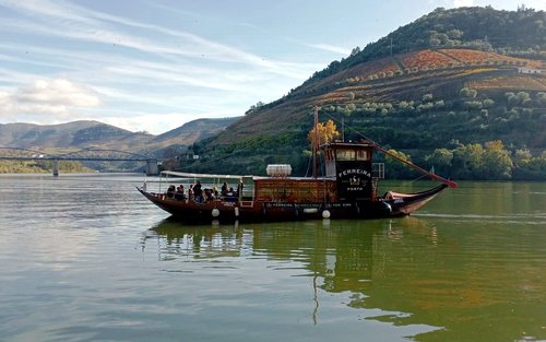 Porto Douro Valley Half-Day Tour with Wine Tasting & River Cruise