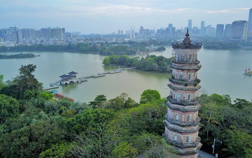 Chartered Car Tour: One-Day Tour of Huizhou City & Popular Bays