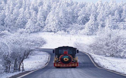 Chongqing Wulong Three Natural Bridges Small Group 1-Day Tour