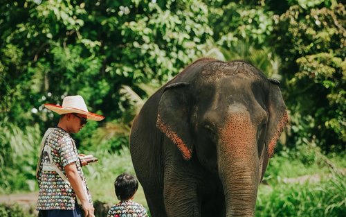 【私享团】云南西双版纳普洱野奢5日游