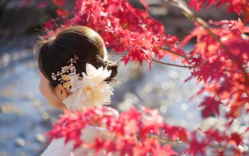 Kyoto Kimono Photoshoot Experience 