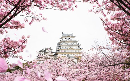 Kikuseidai Observation Platform & Himeji Castle Day Tour