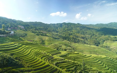 Eksplorasi Kelompok Kecil Sehari Penuh Teras Sawah Longji Guilin