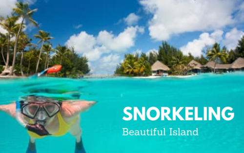 亞庇浮潛體驗（PADI潛水中心）