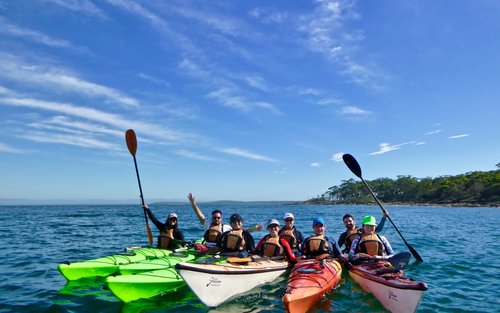 Excursió en caiac de mar de mig dia a Jervis Bay