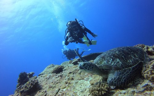 Duiken in Groene Eiland | Taitung | Blue Sapphire Duikcentrum Groene Eiland | 3 dagen, 2 nachten PADI Open Water Diver cursus voor beginners