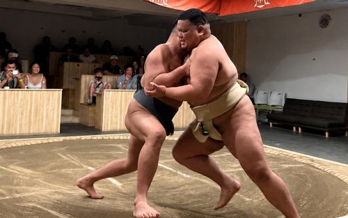 Kyoto: Sumo Show & Experience with Photo and Drinks