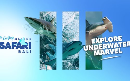 Marine Safari Bali Ticket