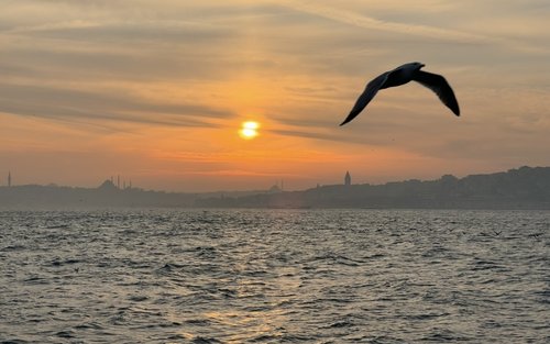 Passeios de 2-3 Horas pelo Bósforo com Parada Opcional no Lado Asiático em Istambul