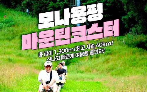 모나용평 마운틴코스터 이용권
