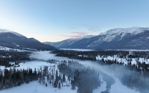 Yalangoch balerina videoda mushukini korsatmoqda. Men singlimga mushuk hikoyamni korsatdim