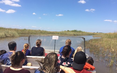 Everglades Airboat & Gator Experience