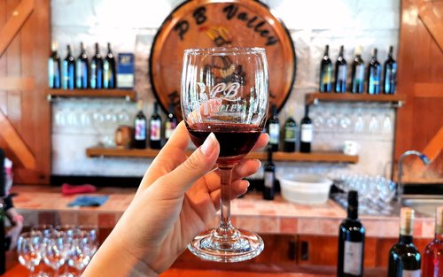 PB Valley Vineyard and Wine Tasting Tour in Khao Yai