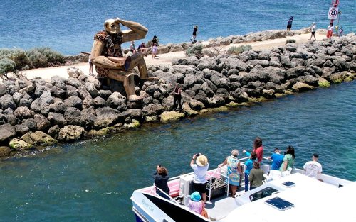 Tour de Avistamiento de Delfines y Gigantes