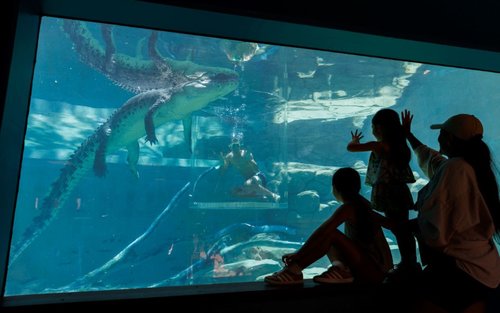 Tiket Crocosaurus Cove