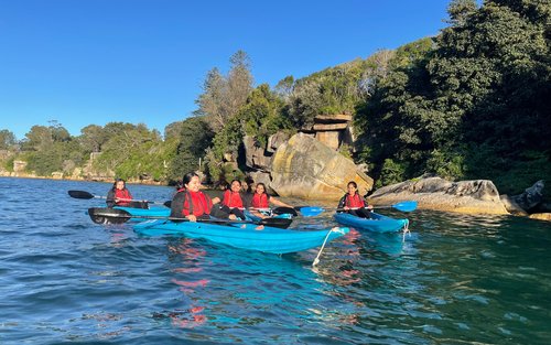 Manly Guided Kayak Tour