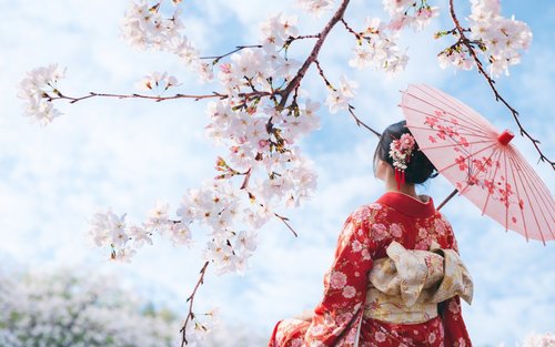 Saga Cherry Blossom Viewing | Mifuneyama Rakuen & Yutoku Inari Shrine & Dazaifu Tenmangu & Ouo Shrine & Asahigaoka Park | Departing from Fukuoka