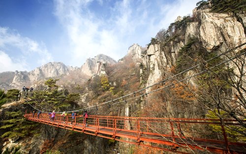 Tour Ngày Ngắm Lá Mùa Thu Daedunsan & Di Sản Baekje Buyeo từ Seoul
