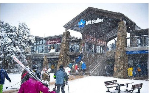 Mount Buller Snow One Day Tour