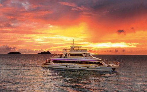 Sunset and City Night Dinner Cruise with Complimentary Drinks in Kota Kinabalu