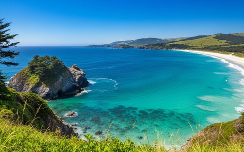 Des de Tòquio: Excursió privada d'un dia a Izu i Shimoda, Shizuoka