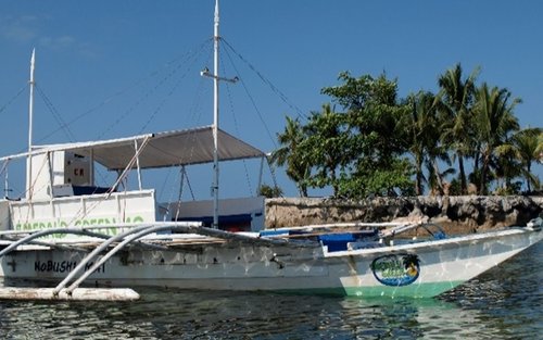 Fun Diving in Mactan or Hilutungan Island