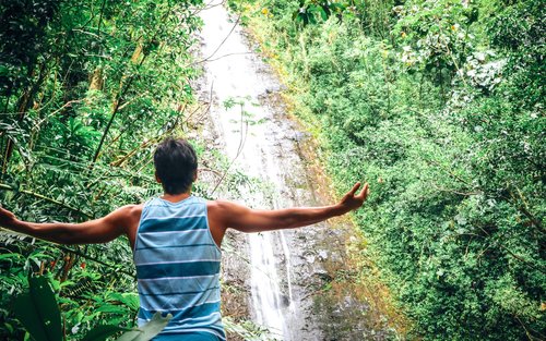 Excursión de senderismo a las cataratas de Manoa en Oahu