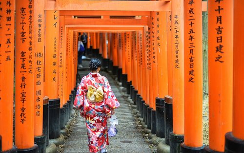 One-day trip to Kyoto and Nara: Nara Park, Kiyomizu-dera Temple, Fushimi Inari Shrine, Todai-ji Temple, Ishibei-koji Lane, Gion/Hanamikoji Street, Yasaka Shrine