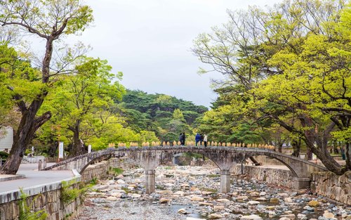 Ulsan Coastal Cruise & Tongdosa Temple Full-Day Tour