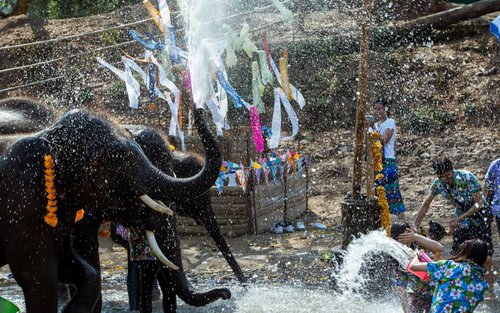Chiang Mai Kerchor Elephant Eco Park Tour (from Chiang Mai)
