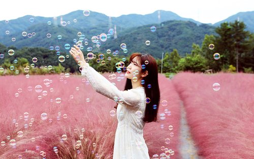 Tour Riêng Hồ Sanjung & Thung Lũng Nghệ Thuật Pocheon