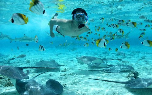Комбинирано преживяване на суша и море на остров Бора Бора