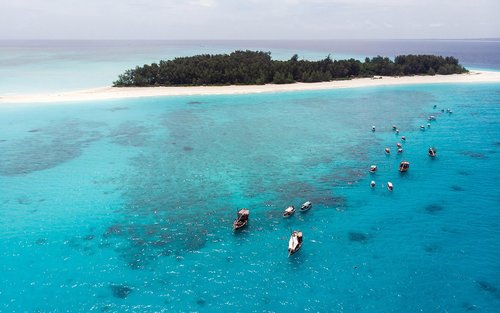 Zanzibar Mnemba Island Half-Day Dolphin and Snorkel Adventure