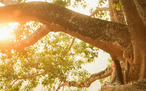 [Private Group] Yunnan Xishuangbanna Jingmai Mountain Luxury Resort 5 Days