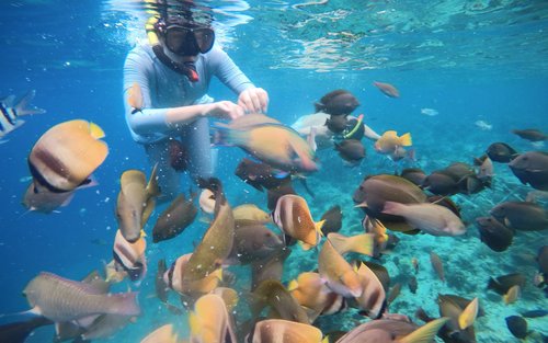 龍目島 Gili Layar&Gili Goleng&Gili Asahan 浮潛一日遊