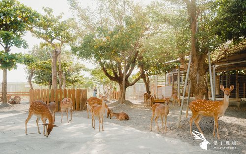 Vé Thiên Đường Hươu Paradise of Deer ở Kenting, Bình Đông