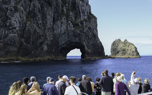 Hole in the Rock Dolphin Cruise